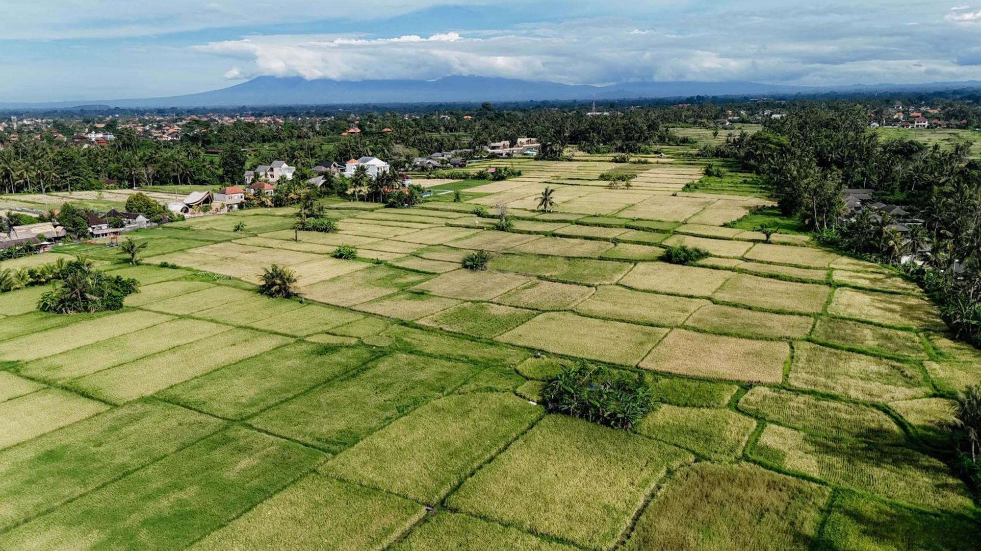Weda Villas Ubud  Exterior photo